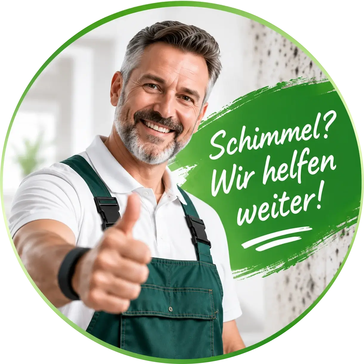 Schimmelbekämpfung vor Ort